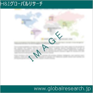 グローバルリサーチ調査レポートのイメージ